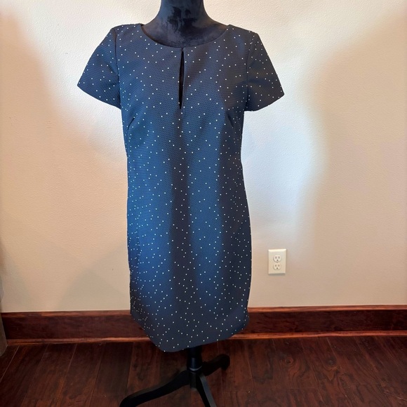 Ann Taylor Swiss Polka Dot Sheath Dress, size 8, Church Office Girly Staple - Picture 13 of 13
